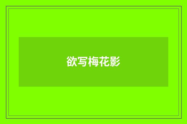 欲写梅花影