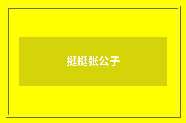 挺挺张公子