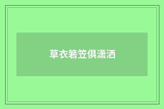 草衣箬笠俱潇洒