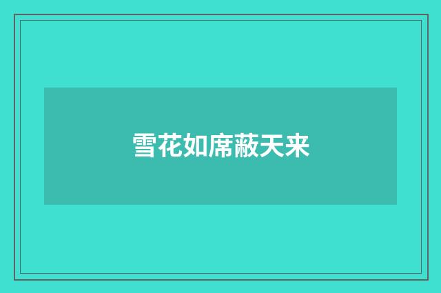 雪花如席蔽天来