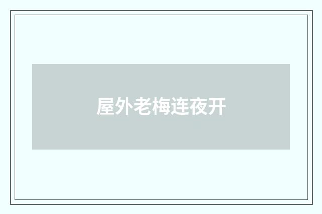 屋外老梅连夜开