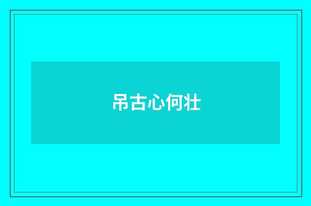 吊古心何壮