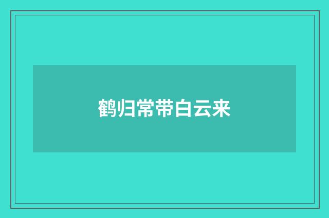 鹤归常带白云来
