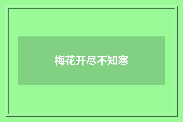 梅花开尽不知寒