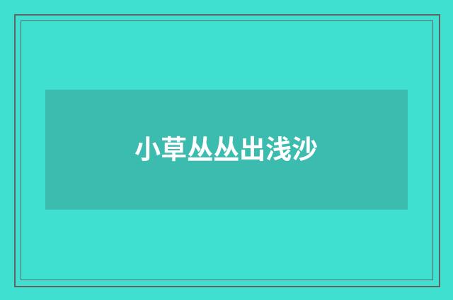 小草丛丛出浅沙