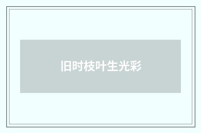 旧时枝叶生光彩