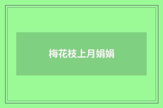 梅花枝上月娟娟