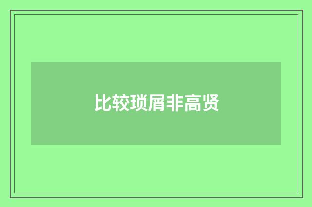 比较琐屑非高贤