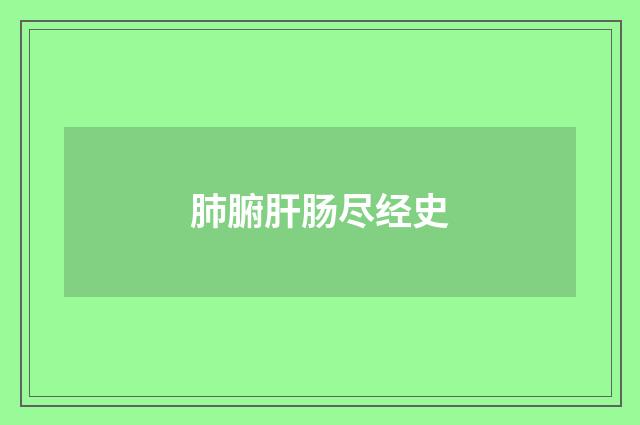 肺腑肝肠尽经史