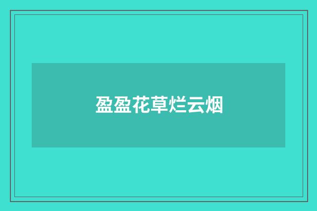 盈盈花草烂云烟