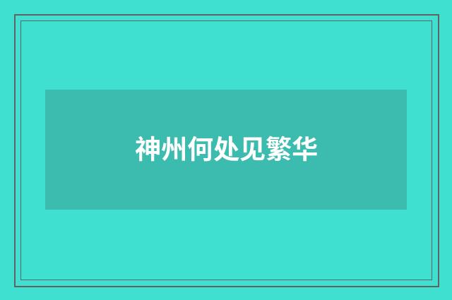 神州何处见繁华