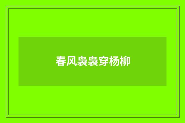 春风袅袅穿杨柳