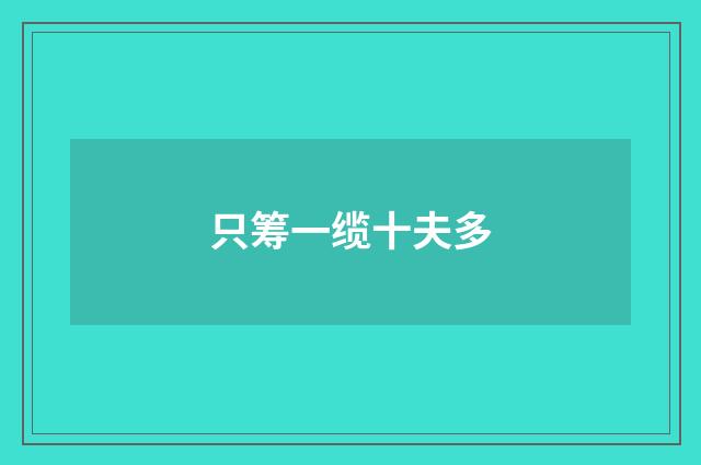 只筹一缆十夫多