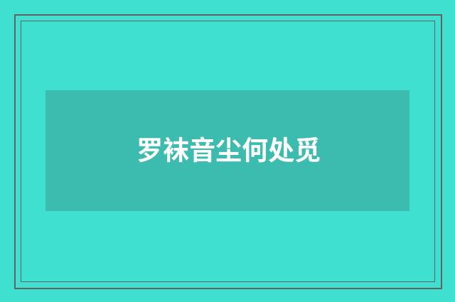 罗袜音尘何处觅