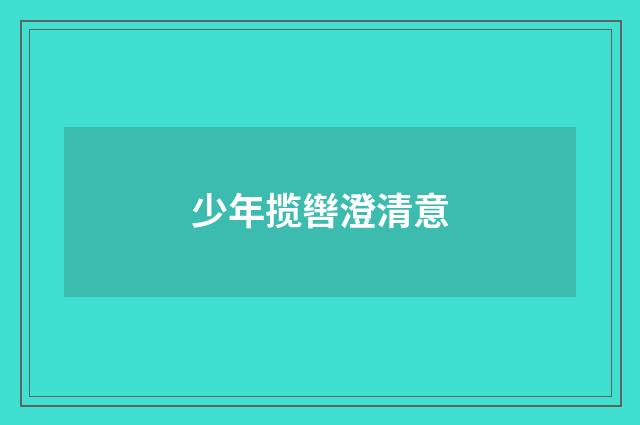 少年揽辔澄清意