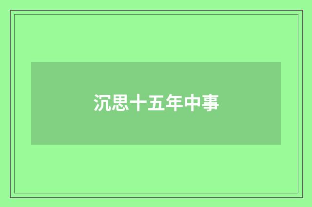 沉思十五年中事