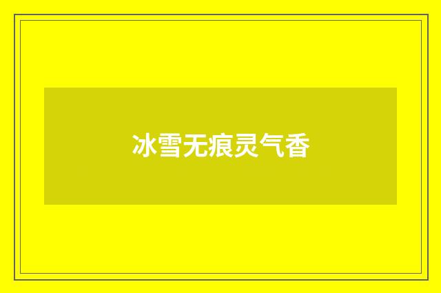 冰雪无痕灵气香
