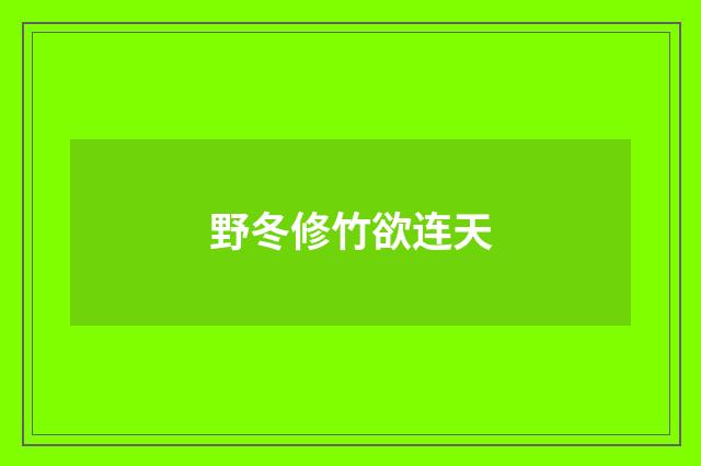 野冬修竹欲连天