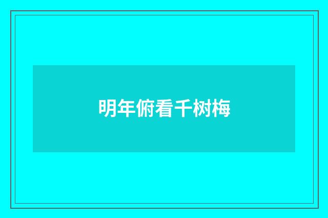 明年俯看千树梅