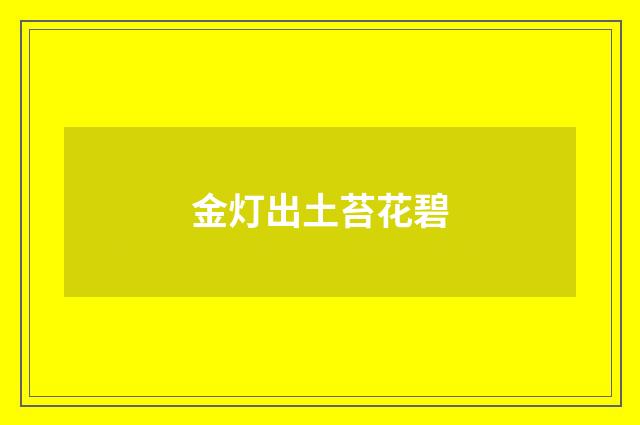 金灯出土苔花碧