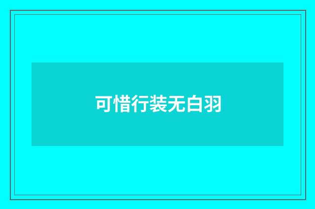 可惜行装无白羽