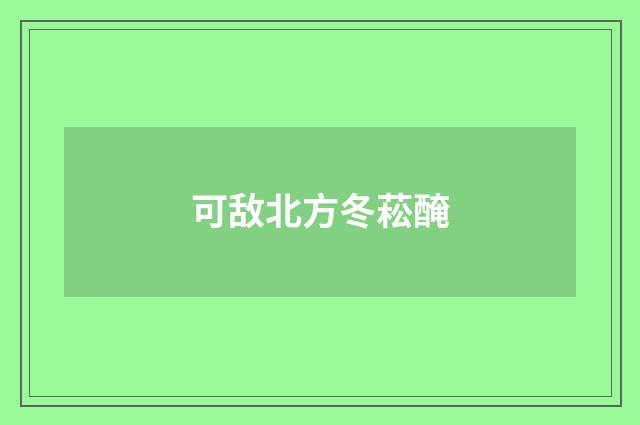可敌北方冬菘醃