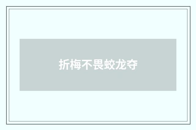 折梅不畏蛟龙夺
