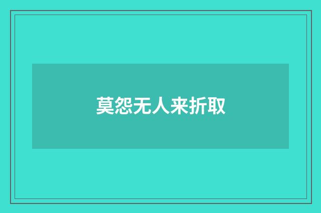 莫怨无人来折取