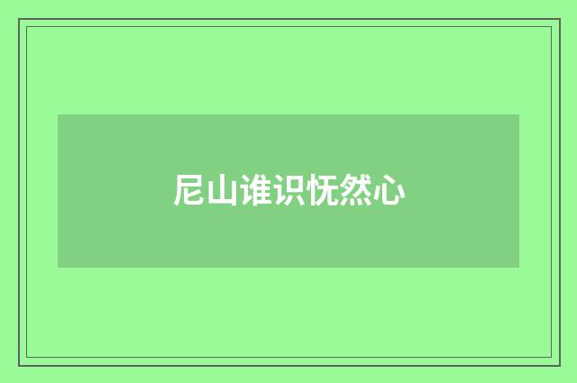 尼山谁识怃然心
