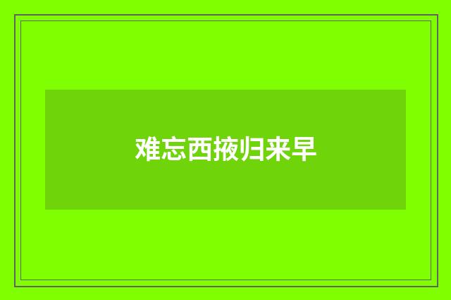难忘西掖归来早