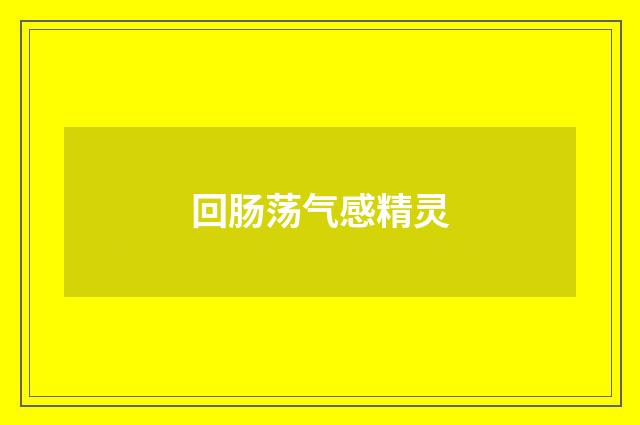 回肠荡气感精灵