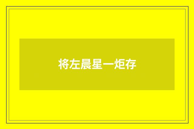 将左晨星一炬存