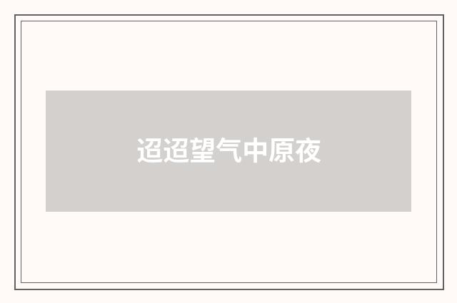 迢迢望气中原夜
