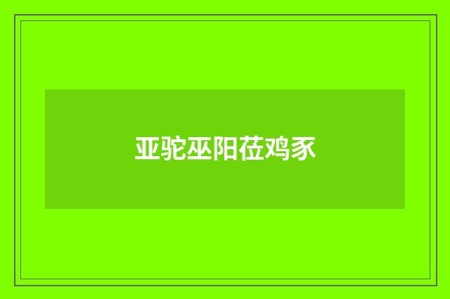 亚驼巫阳莅鸡豕