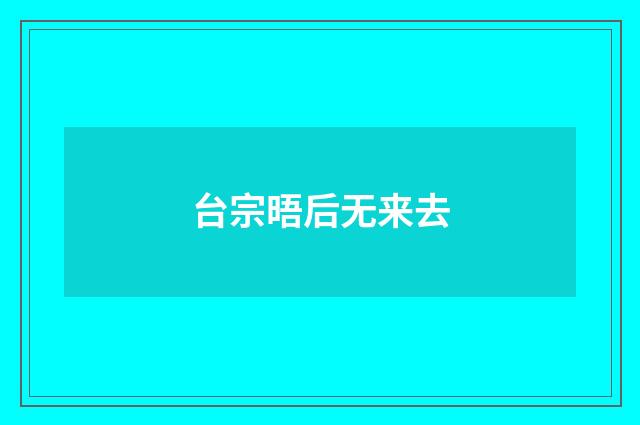 台宗晤后无来去