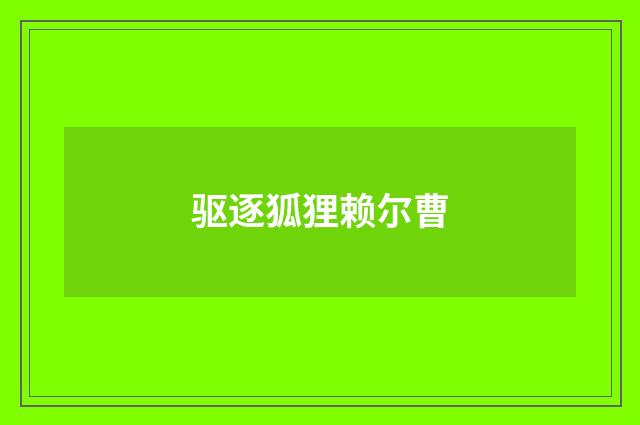 驱逐狐狸赖尔曹