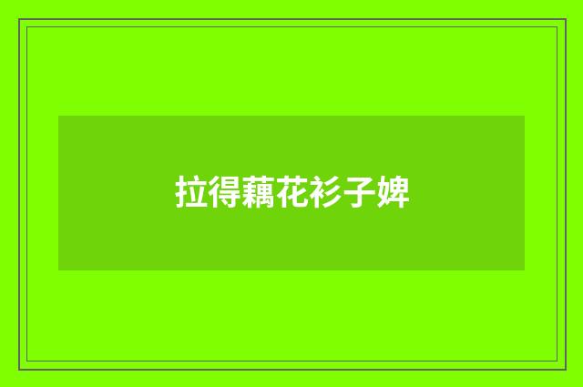 拉得藕花衫子婢