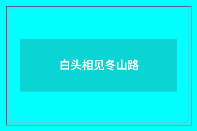 白头相见冬山路