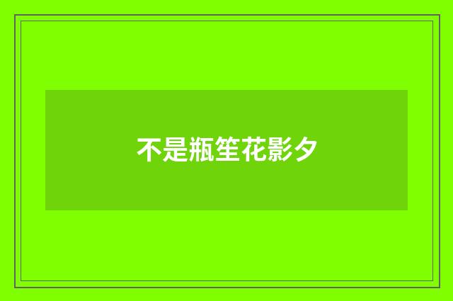 不是瓶笙花影夕