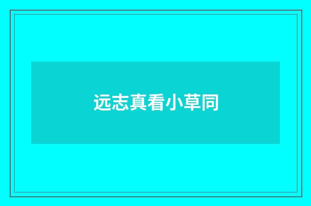 远志真看小草同