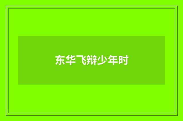 东华飞辩少年时