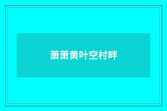 萧萧黄叶空村畔