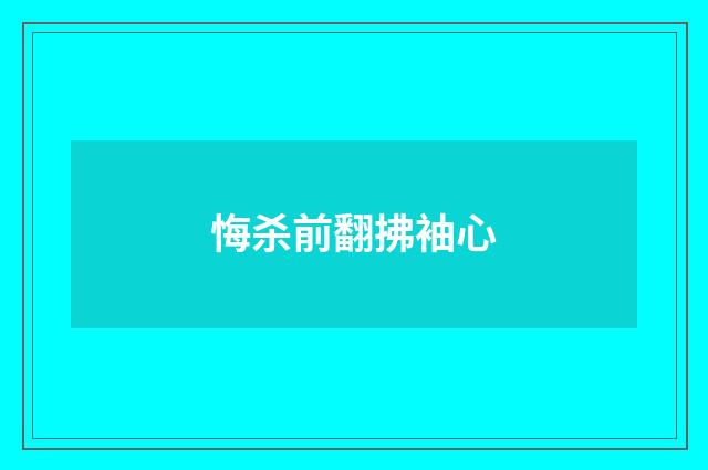 悔杀前翻拂袖心