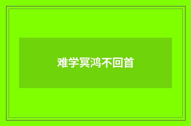 难学冥鸿不回首