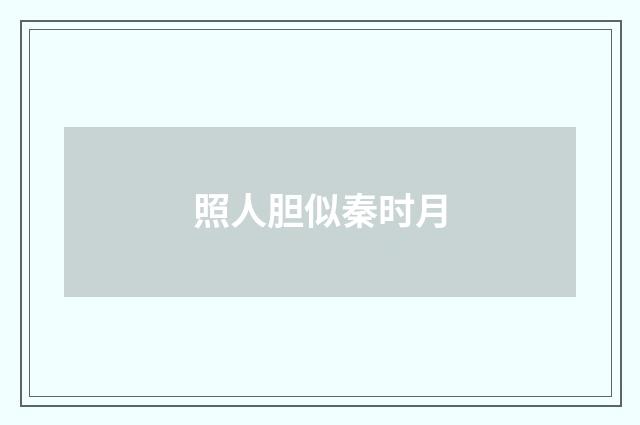 照人胆似秦时月