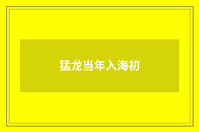 猛龙当年入海初