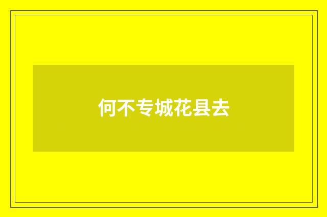 何不专城花县去
