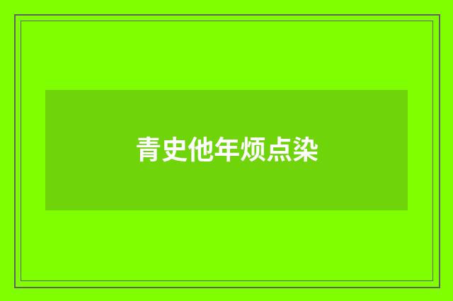 青史他年烦点染