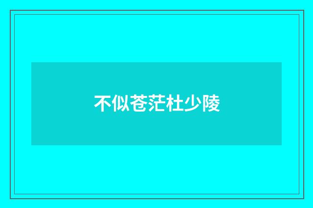 不似苍茫杜少陵
