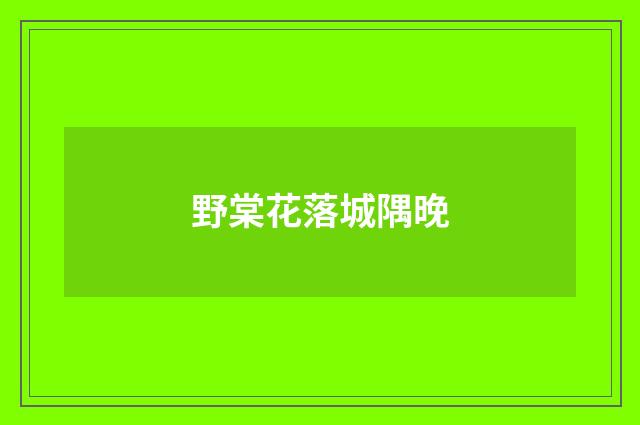 野棠花落城隅晚